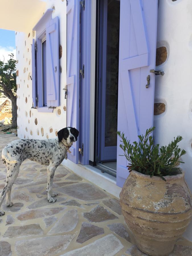 Good Life Greece Eco Posidhonía