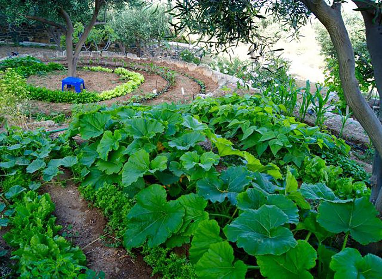 Good Life Greece Eco * Posidhonía
